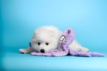 Portrait of a dog
