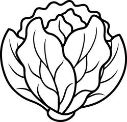Collard greens outline vector illustration drawing