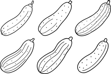 Set of Cucumber outline vector illustration drawing line art