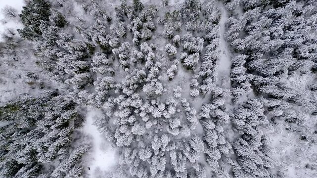 Winter on Lake Predil. View from above.