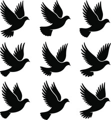 Obraz premium Pigeon icons set. Collection of flying pigeons. Vector illustration