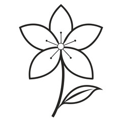 periwinkle flower line art vector on-white-background