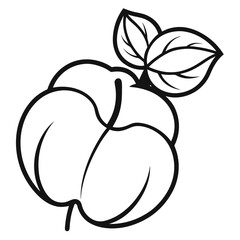  quince line art on white background