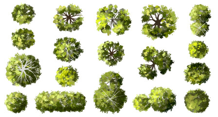 Vector set of Top view green tree for outdoor plan or map and architecture drawing, elements for environment and garden ,botanical elements ,Blooming flowers in spring,tropical plants element
