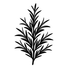  rosemary silhouette vector on white background