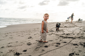 Small boy on sandy beach with dog nearby, observing surroundings, capturing essence of environmental awareness in early years, mirrored in smart tech learning behavior and object detection.