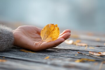 Embracing change while letting go of perfectionism through nature’s beauty