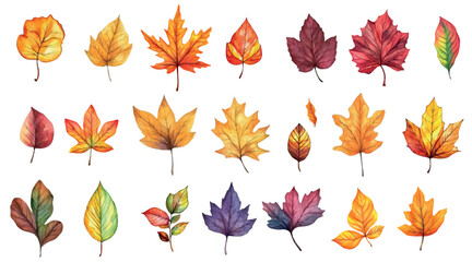 Fototapeta premium Set of autumn leaves watercolor png. Orange,red,brown and green leaves with dere in autumn season. Natural element of October and November. Elements for autumn designs,Back to School,Halloween.