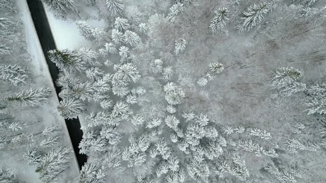 Winter on Lake Predil. View from above.