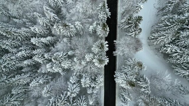 Winter on Lake Predil. View from above.