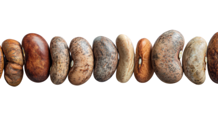 A variety of colorful beans, showcasing different shapes and textures, isolated on a white background.