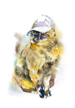 Tortoiseshell Cat Wearing a Hat