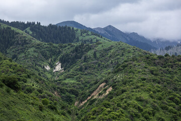 Obraz premium Lush green hills with distant mountains and cloudy sky