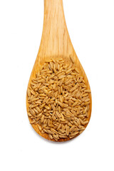 The High resolution photograph of oats placed on a wooden spoon and spread on a white background,...