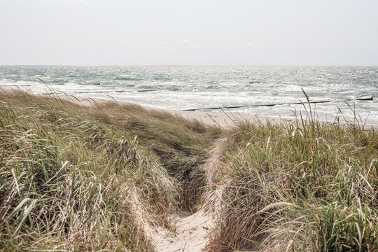 Weg durch die D&uuml;nen zum Strand - Insel Hiddensee