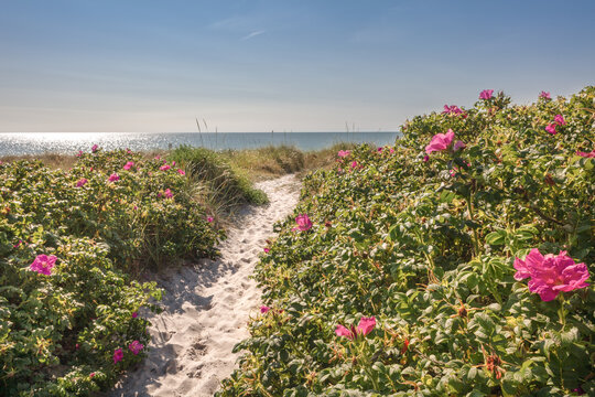 romantischer Weg zum Strand