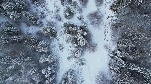 Winter on Lake Predil. View from above.