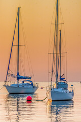 Three sailboats anchored on the lower niagara river durning sunset.
