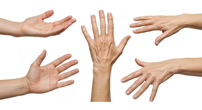 Hand Gestures: Various hand gestures showcasing open palms, expressive hands in a neutral context, a collection of five diverse hand poses perfect for any design.