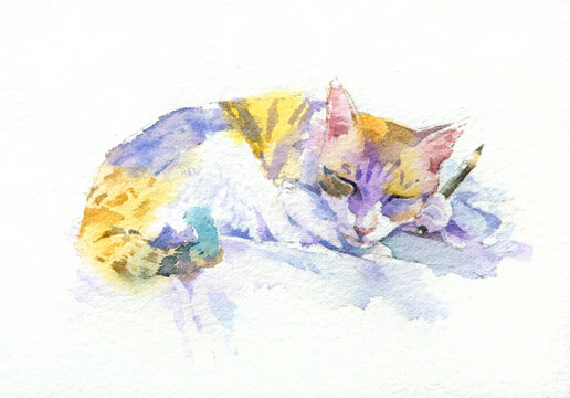 Cat with No Inspiration