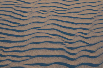 Wind-sculpted sand ripples on beach surface