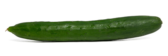 The Vegetable photography, Japanese cucumber, high resolution isolate on white