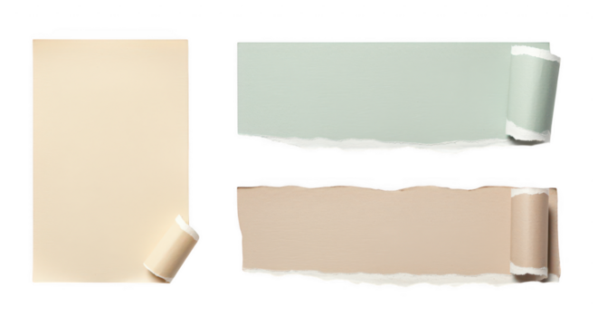Torn paper edges: A collection of paper sheet featuring torn and curled edges.