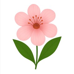 A delicate pink flower with green leaves and a white background