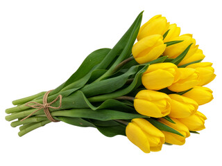 Fototapeta premium A beautiful bouquet of bright yellow tulips tied with twine isolated on transparent background