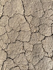 Cracked earth texture showcasing the effects of dry weather and lack of moisture in a natural landscape setting under bright sunlight