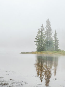 Serene lake landscape with misty trees and calm reflections during early morning hours in a tranquil natural setting