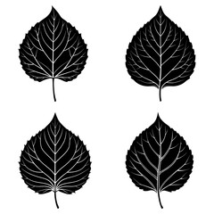 Obraz premium Four black and white leaf illustrations with detailed veins on a white background in a symmetrical pattern