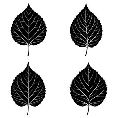 Obraz premium Four black leaves with detailed veins arranged in a square pattern on a white background design element