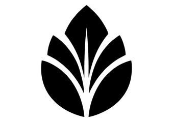 Obraz premium Black water droplet silhouette with leaf pattern