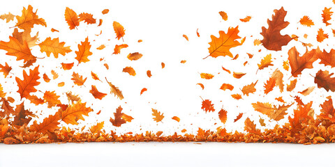 Autumn leaves in various shades of orange and brown falling against white background.