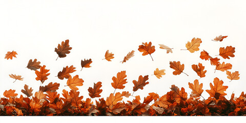 A collection of vibrant autumn leaves, some scattered on the ground and others floating in the air against a white background.