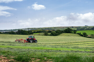 Obraz premium farmer in tractor turns grass in dorset countryside under blue sky in summer