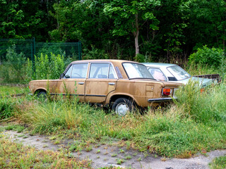 Auta stare i zardzewiałe.  © EwaAF
