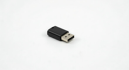 Fototapeta premium A small, black USB wireless dongle or adapter, representing connectivity, technology, and portable data transfer on a white background. 