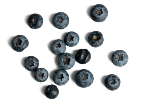 The High-resolution fruit photo of blueberries using stacked focus technique.
