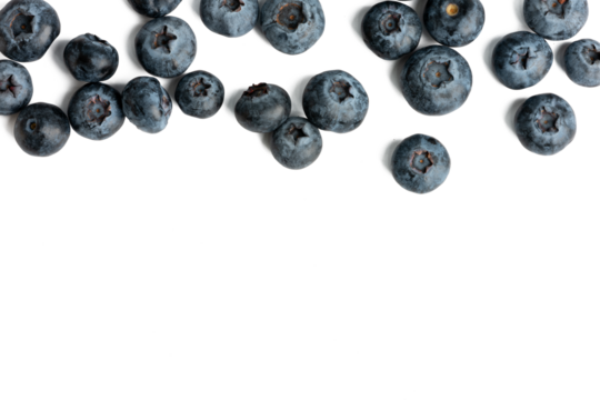 The High-resolution fruit photo of blueberries using stacked focus technique.