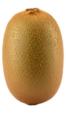 Fototapeta premium Isolated Whole Kiwi Fruit Displaying Brown Fuzzy Texture on Transparent
