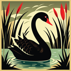 Black swan swimming in water with reeds red cattails