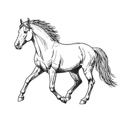 Running horse in vintage engraved style drawn by hand in black and white line art