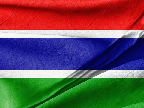 Waving Gambian Flag in the Breeze