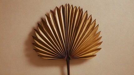 Fan-shaped dried palm leaf centered with negative space on neutral background.
