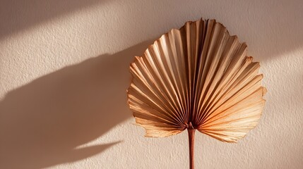 Dried palm leaf folded and dried, edges visible in soft natural light against neutral background.
