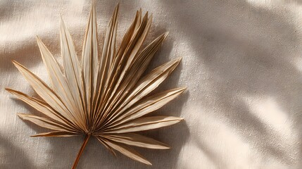 Dried palm leaf resting on soft beige fabric with gentle light and shadows.

