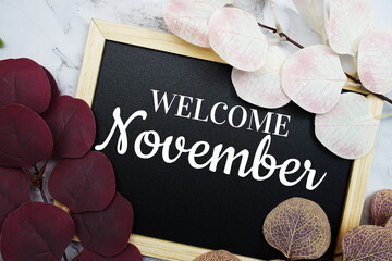 Welcome November text with eucalyptus leaf decorated on marble background