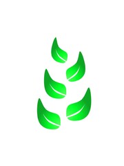 abstract illustration of arrangement green leaves 